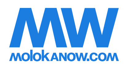 Логотип Molokanov